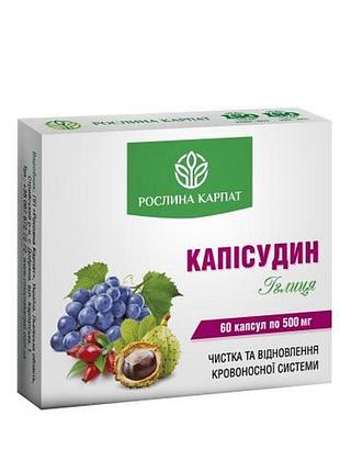 Капісудин рослина карпат 60 капсул