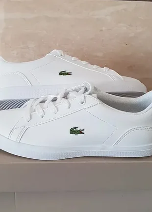 Кеди чоловічі lacoste шкіряні білі