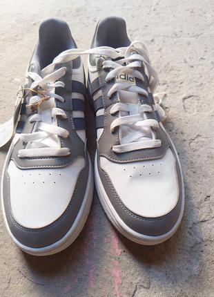 Кросівки чоловічі adidas hoops 3.0 білі, сірі