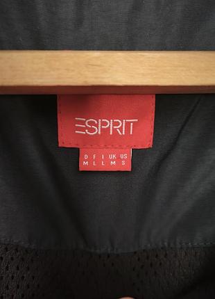 Чоловіча вітровка esprit темно-синя розмір l 5