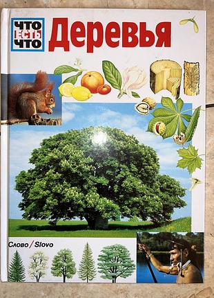 Книга что есть что деревья ханнелора курт-гильзенбах