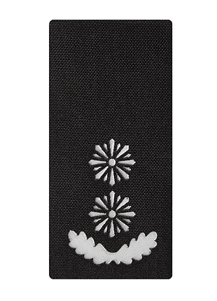 Погон camotec полиция подполковник (5*10)