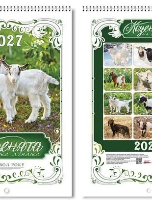 Календарь перекидной 2027 год.
символ года.
козлята и ягнята.