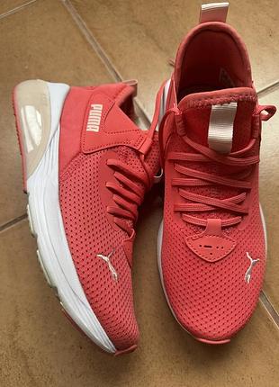 Кросівки puma