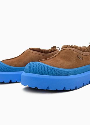 Ugg tasman hybrid chestnut/blue 2