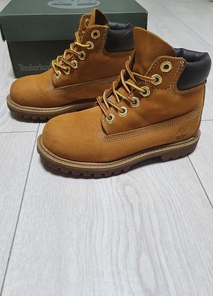 Черевики дитячі timberland 6-inch premium гірчичні