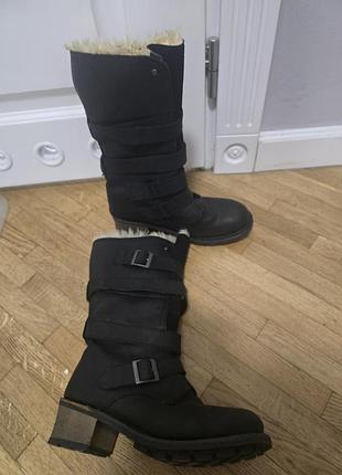 Чоботи  сat