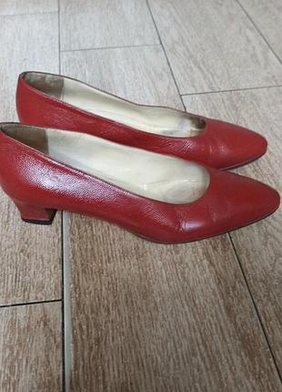 Туфлі celine 2