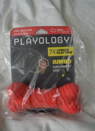 Жувальна іграшка для собак playology dual layer bone 2