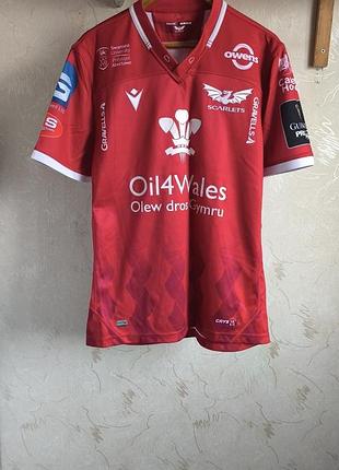 Регбойка macron, scarlets