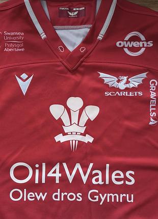 Регбійка macron, scarlets 4