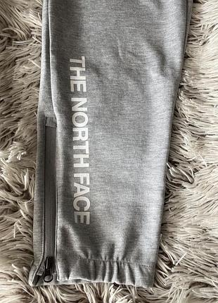 Брюки чоловічі the north face сірі 6