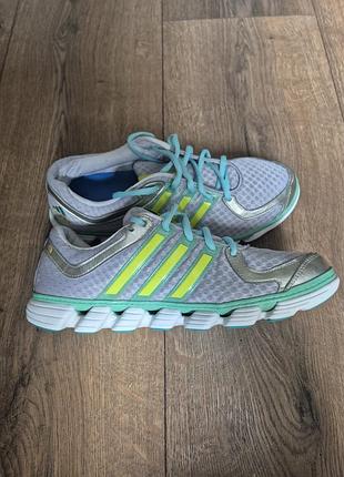 Кросівки жіночі adidas сірі з салатовим