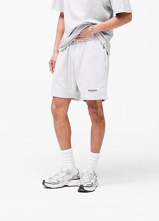 Шорти represent owners club сірі 2