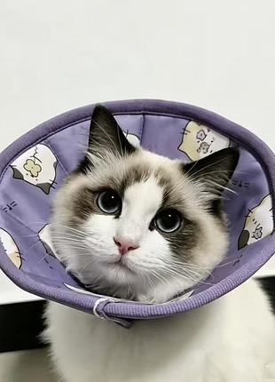Захисний воротник для кота, м'який, з принтом сердечок