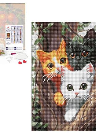 Алмазная мозаика amo котики на дереве 30х40 см (amo8299)