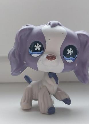 Littlest pet shop lps собака кокер спаниэль собачка спаниэль лпс пет шоп детские игрушки фигурки фигурка пет шопы петшопы пет шопы