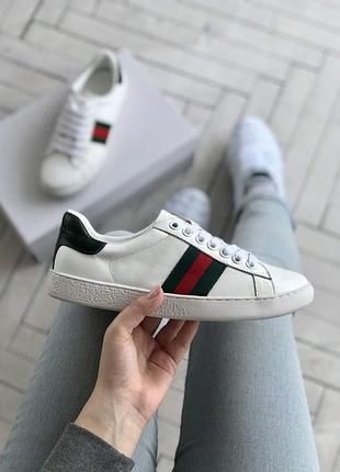 Gucci ace leather sneaker black green red web | білі шкіряні кеди гуччі | 36, 37, 39