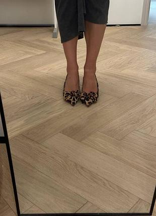Туфлі zara леопардові 40р 4