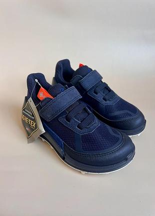 Кросівки для дітей ecco biom k2 gore-tex сині, 29 розмір, довжина устілки 19 см