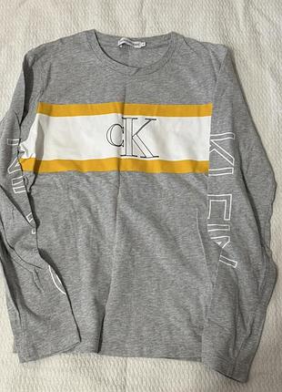 Кофта чоловіча calvin klein сіра з логотипом