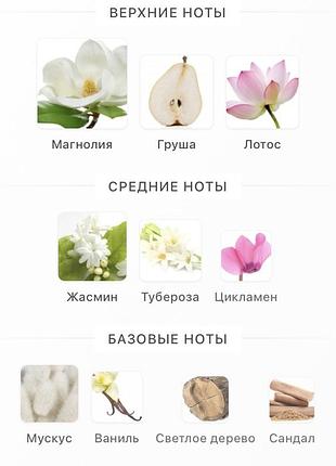 Eau de parfum curious britney spears 30 ml сша 🇺🇸 5