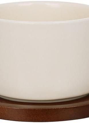 Набор 6 фарфоровых чашек "natural serving cream" 200мл с деревянными блюдцами