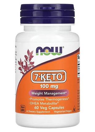 Now 7-keto 100 mg 60 veg capsules