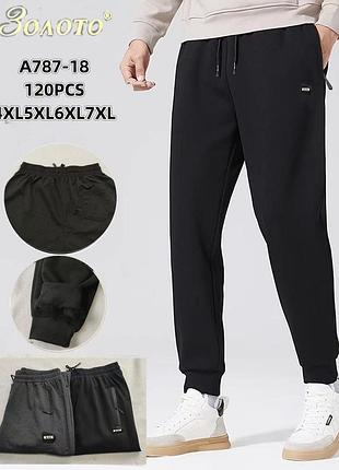 Спортивные штаны мужские на флисе (xl-5xl) aolong