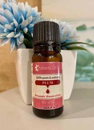 🇬🇧 англія натуральна олія з кісточок сливи authentic oil co. plum kernel oil