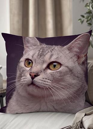 Декоративная подушка с котом породы «бурмила» wonkey, 45×45 см, плюш, двусторонний фотопринт — 1349445