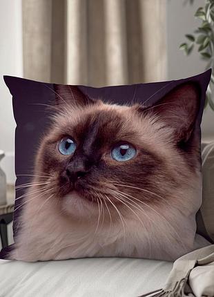 Декоративная подушка с котом породы «рэгдолл» wonkey, 45×45 см, плюш, двусторонний фотопринт — 1350245