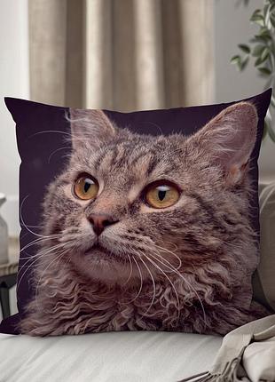 Декоративная подушка с котом породы «лаперм» wonkey, 33×33 см, плюш, двусторонний фотопринт — 1349935