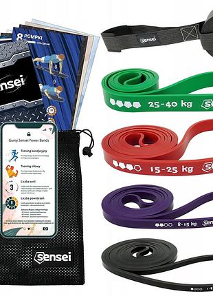 Комплект з 4 гумок power band + ручка стрічки для опорних вправ підтягування