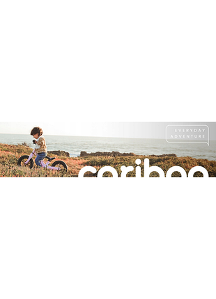 Біговий велосипед cariboo magnesium pro 2