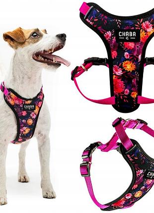 Петлині повідки comfort guard для маленького собаки chaba marigold розмір м