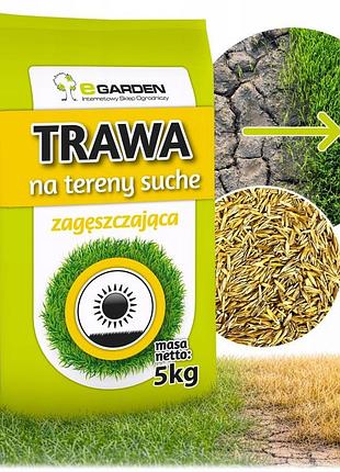 Насіння трави на сухі ділянки 5 кг високо стійка до посухи 200 м²
