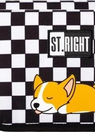 Набір 2 штуки шкільний пенал двокришковий majewski st.right шахівниця коргі x2