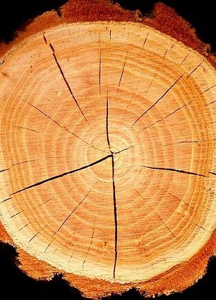 Парфуми жіночі yodeyma boreal 100 мл 7