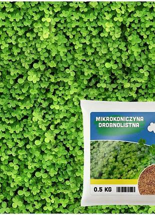 Набір з 2 штук насіння mikrokoniczyna дрібнолиста 0,5 кг для газону 400 м2