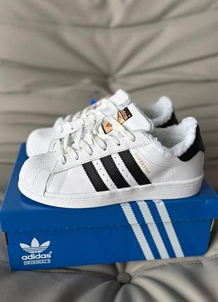 Кросівки зимові adidas superstar white fur