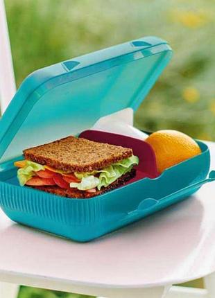 Ланч бокс tupperware з роздільником