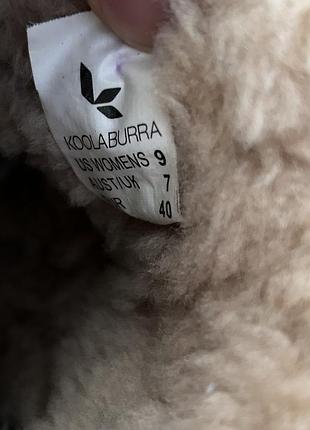 Уггі оригінал koolaburra 8