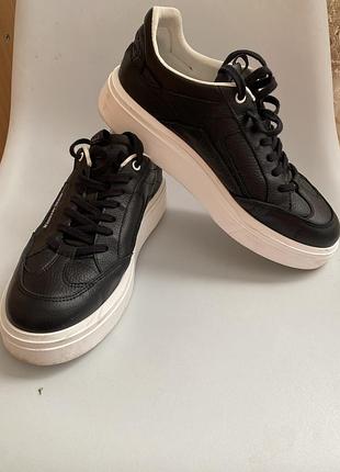 Кросівки чоловічі steve madden чорні, 43 розмір, шкіряні