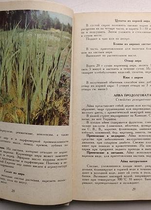 Цілющі рослин 3