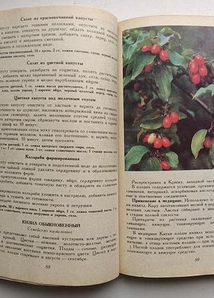Цілющі рослин 5