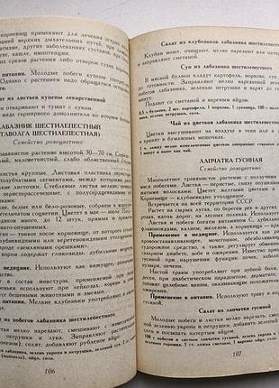 Цілющі рослин 6