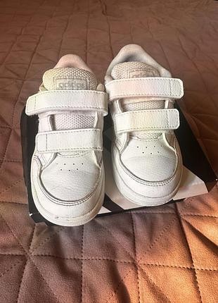 Кросівки adidas