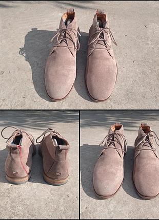 Мужские замшевые ботинки чокка / дезерты (chukka / desert boots) touch hilfiger