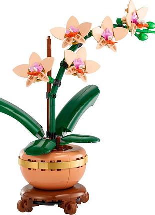 Конструктор lego botanicals мини орхидея